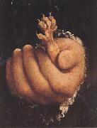 Lorenzo Lotto Man with a Golden Paw (mk45) oil on canvas